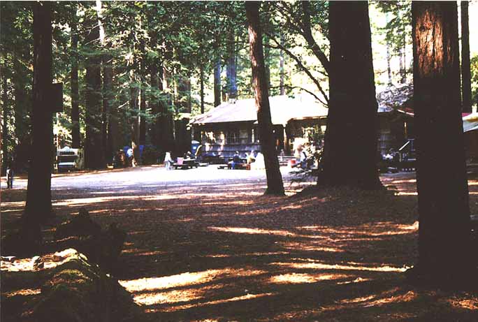 Woodlands Camp 2